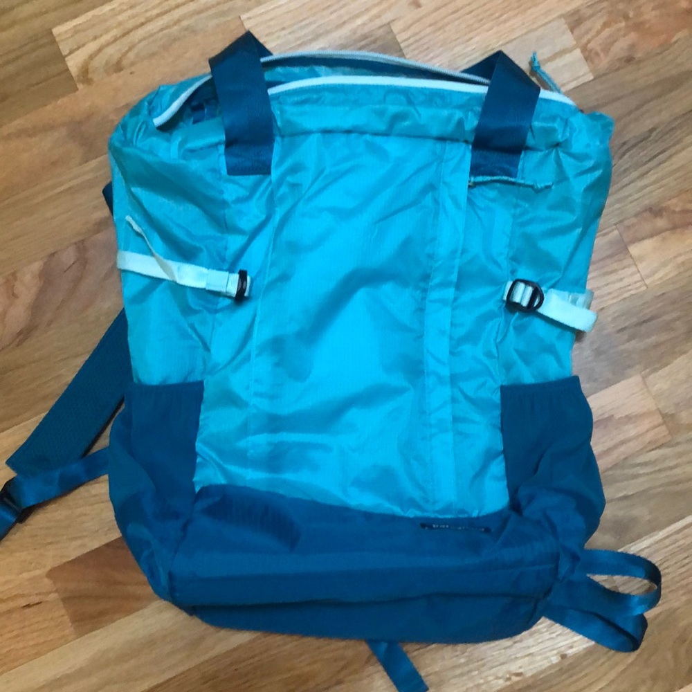 Patagonia LW Travel Tote Pack